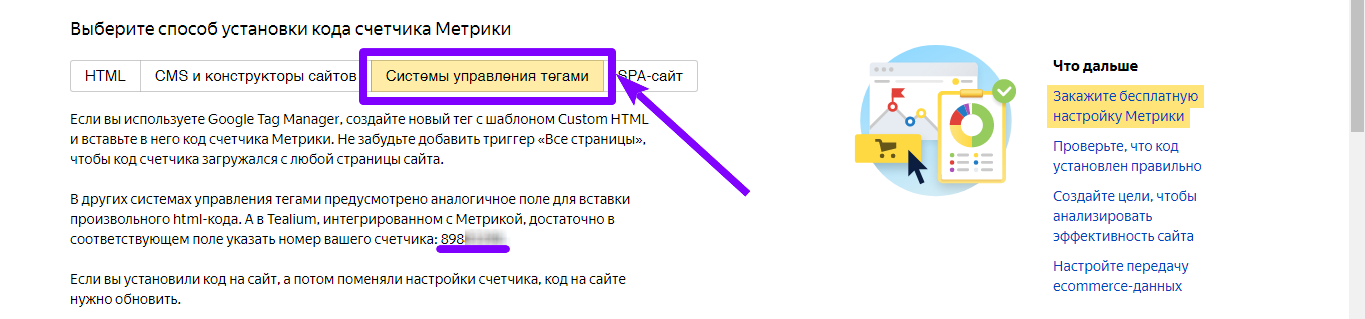 Вкладка «Системы управления тегами» с инструкцией для Google Tag Manager